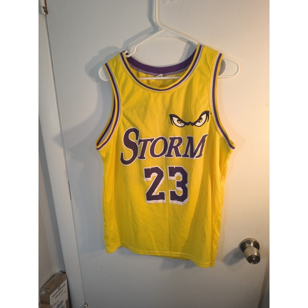 Lake Elsinore Storm Baseball Jersey XL LA Lakers basketball Lebron James